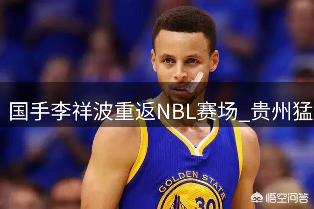 国手李祥波重返NBL赛场 贵州猛龙完成重磅引援