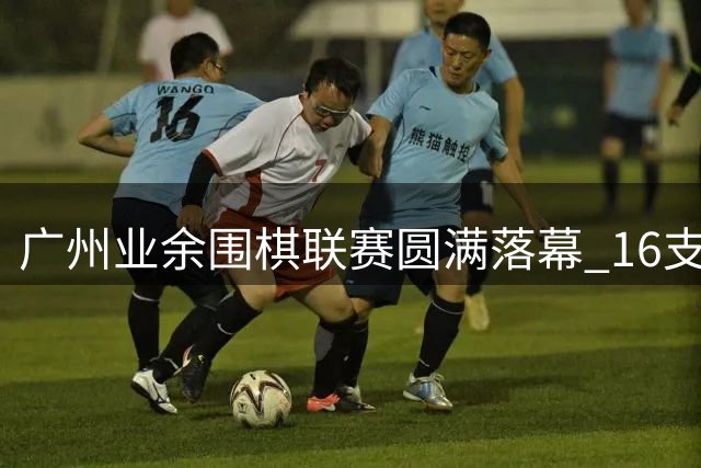 广州业余围棋联赛圆满落幕 16支劲旅上演智慧对决