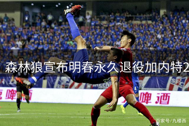 森林狼宣布明春永久退役加内特21号战袍 狼王深情表白明尼苏达