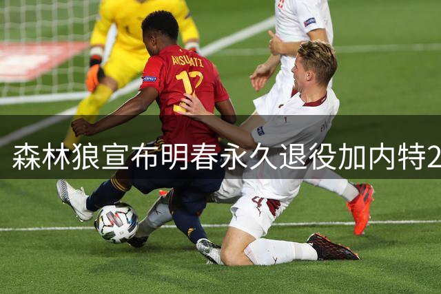 森林狼宣布明春永久退役加内特21号战袍 狼王深情表白明尼苏达