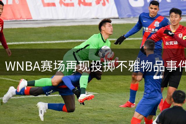 WNBA赛场再现投掷不雅物品事件 肇事球迷被永久禁入两大联赛